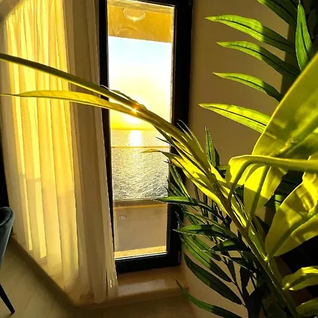 Appartement Delia *